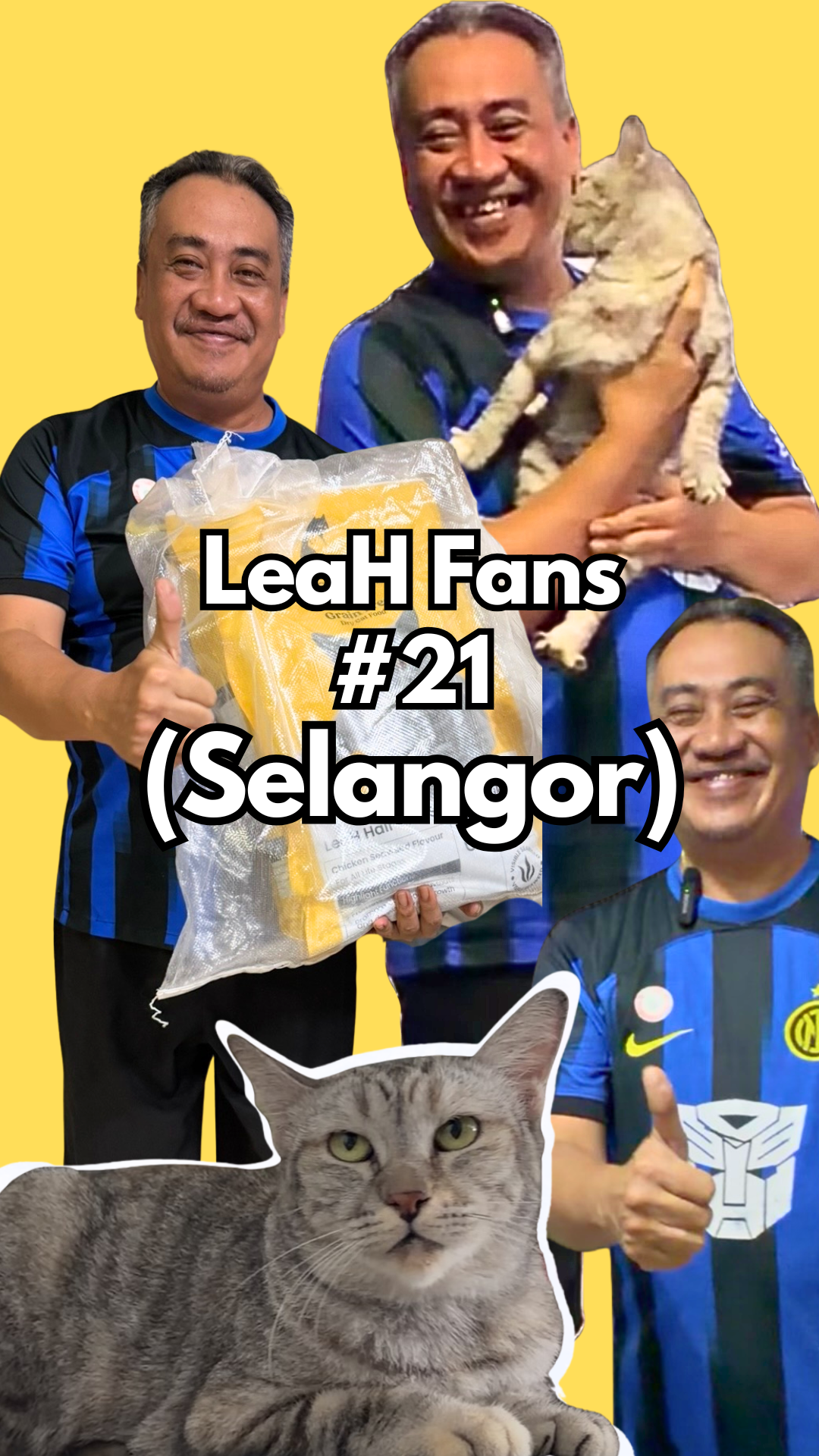 From Low Energy to Fuller Body: This Cat Gained Weight After Eating LeaH