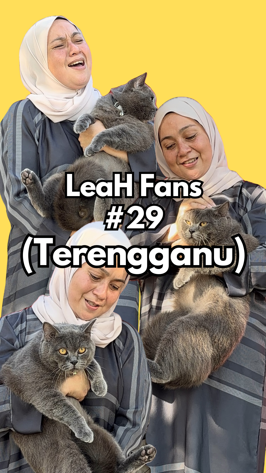 From Mixed Feeding to One Kibble Routine: Cat Reached 5KG and Stayed Active With LeaH