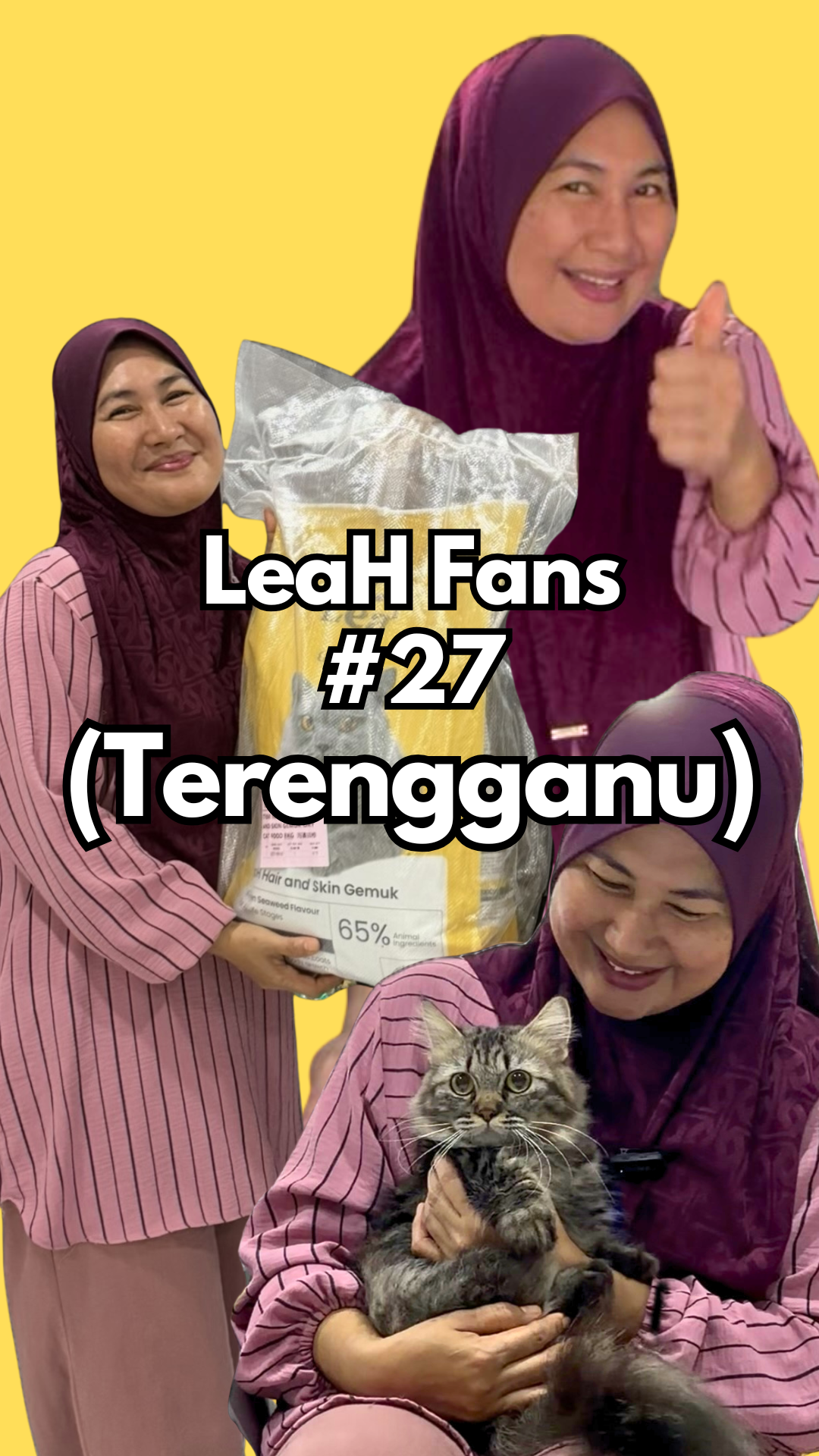 From Diarrhea With Old Food to 9 Cats Eating LeaH With Better Stool and Fuller Body