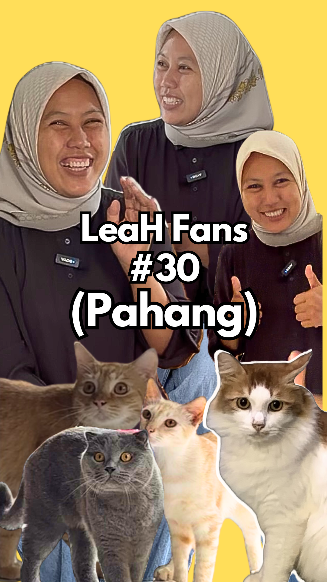 From Itchy Skin and Loose Stool to Firmer Stool and Fuller Cats After Switching to LeaH