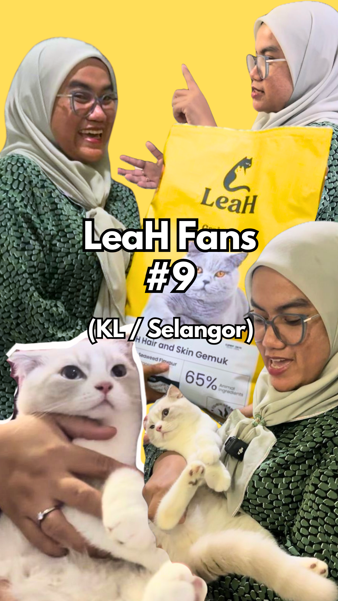 From Slow Eating With Other Foods to Bigger, Fluffier Cats After Eating LeaH