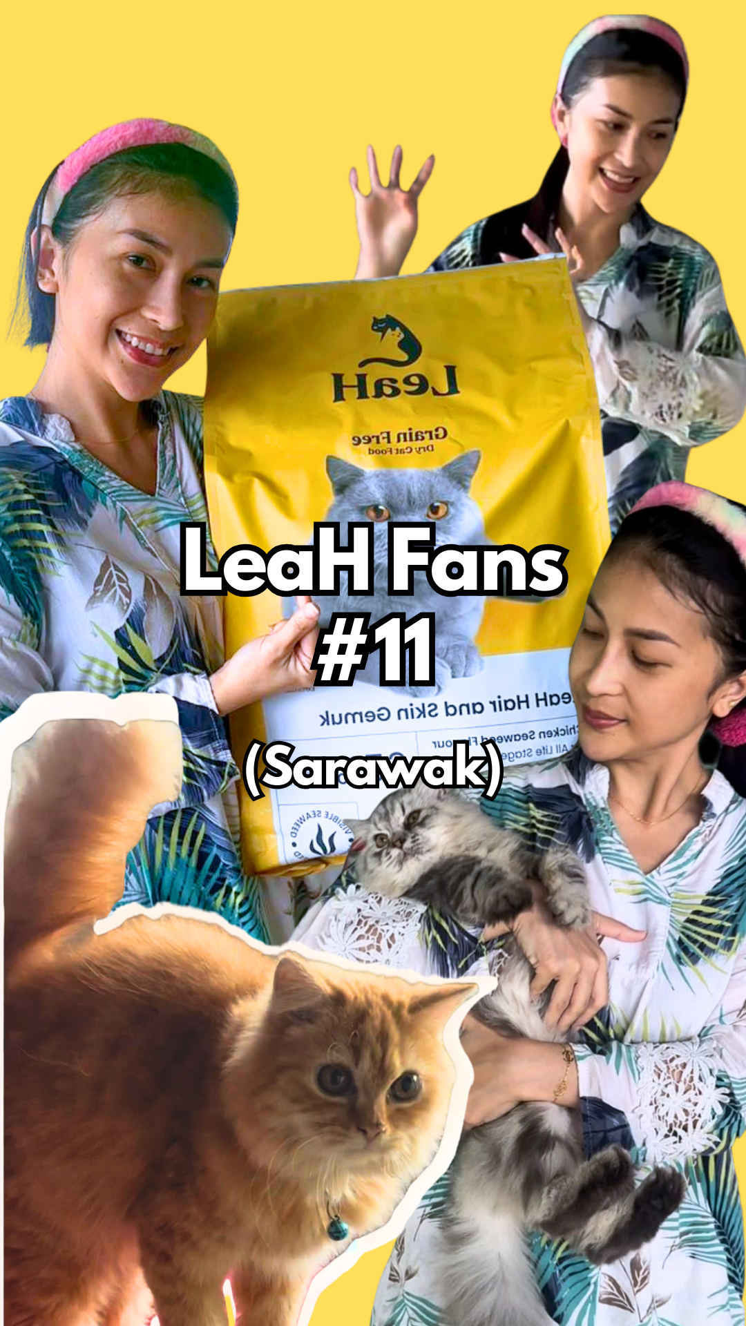 From Bald Patches and Thin Body to Fluffy Fur and Fuller Kittens After Eating LeaH