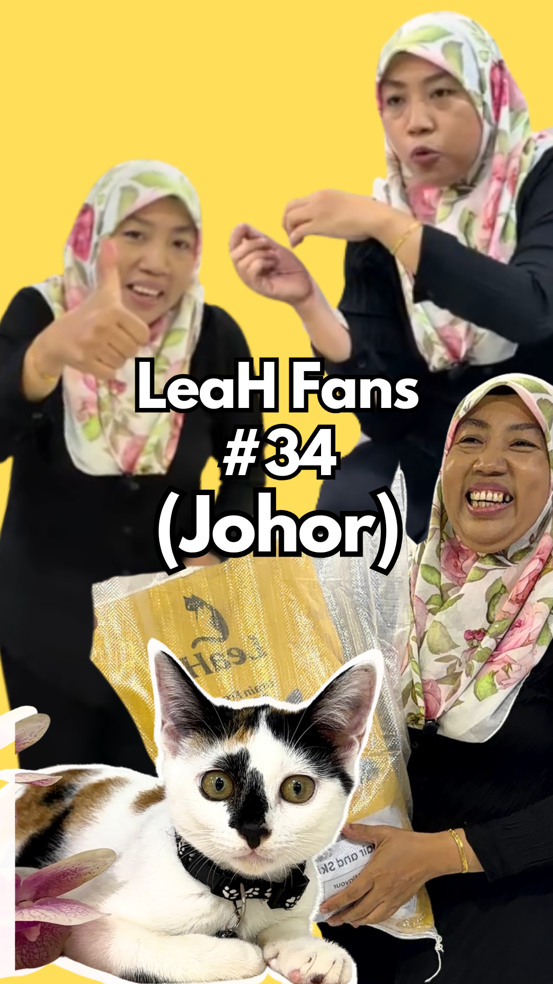 From Small, Weak Body and Heavy Shedding to Bigger Body and Fur Growing Back After LeaH