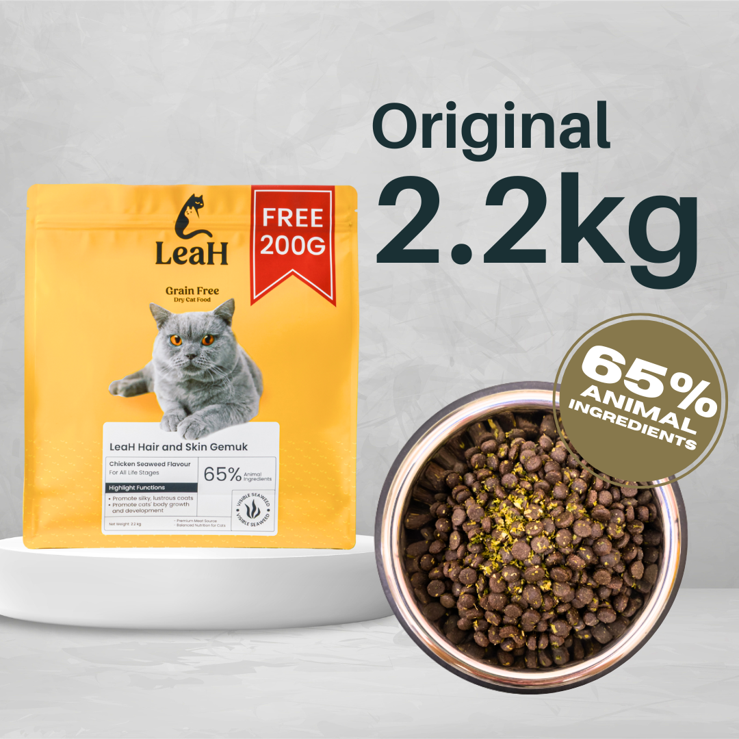 (2.2kg) LeaH Hair and Skin Gemuk
