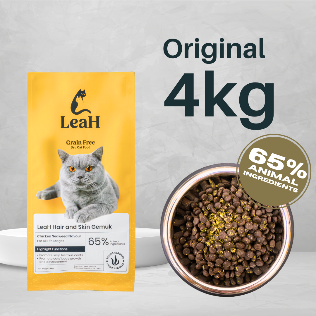 (4kg) LeaH Hair and Skin Gemuk