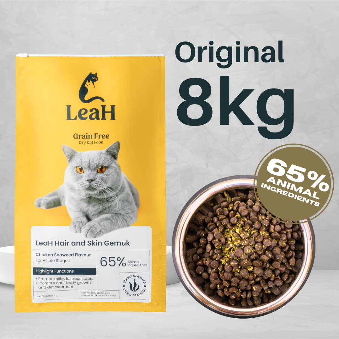 (8kg) LeaH Hair and Skin Gemuk
