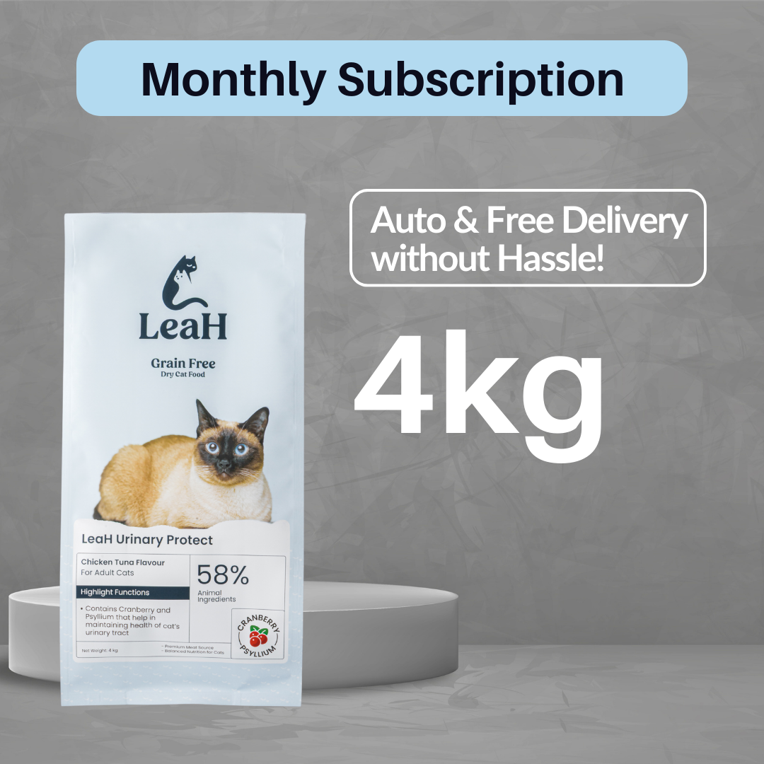 (Subscription) 4kg LeaH Urinary Protect