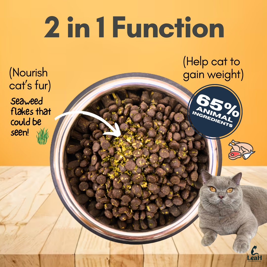 (2.2kg) LeaH Hair and Skin Gemuk