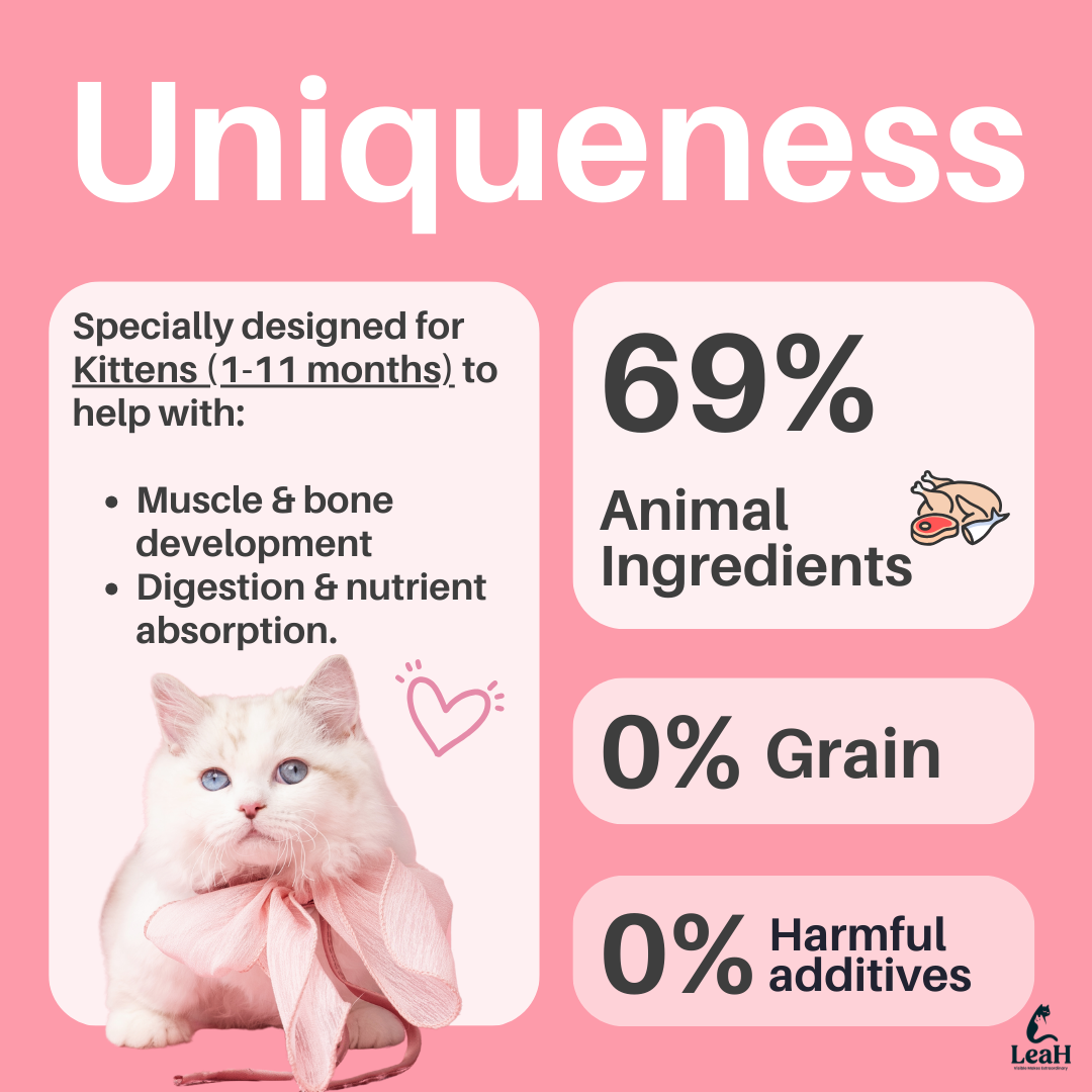 (1kg) LeaH Kitten Formula