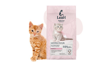 Kibbles too big for kitten hover