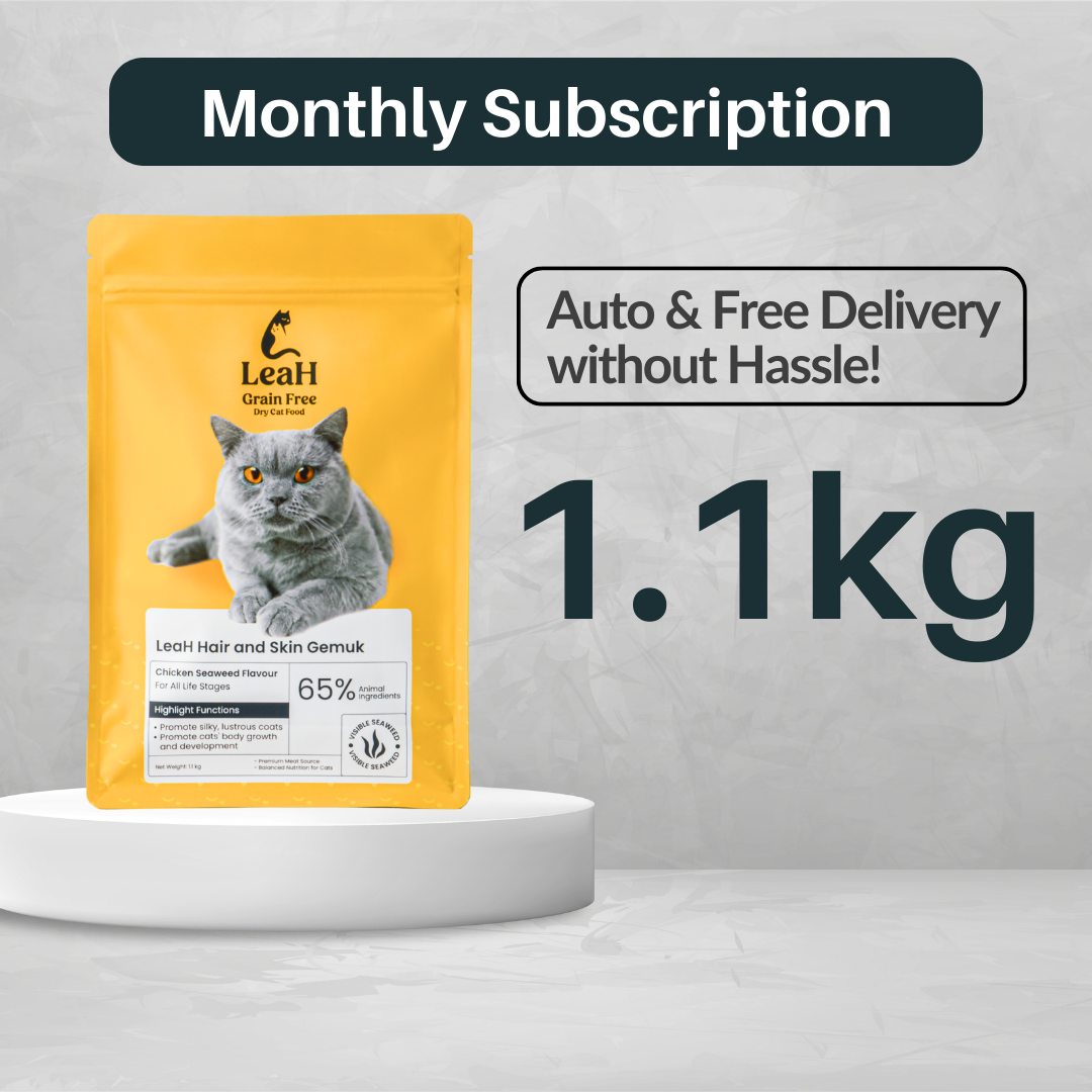 (Subscription) 1.1kg LeaH Hair and Skin Gemuk