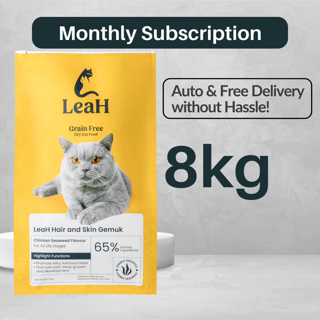 (Langganan) 8kg LeaH Hair and Skin Gemuk